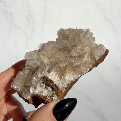 Angel Wing Calcite Cluster 03