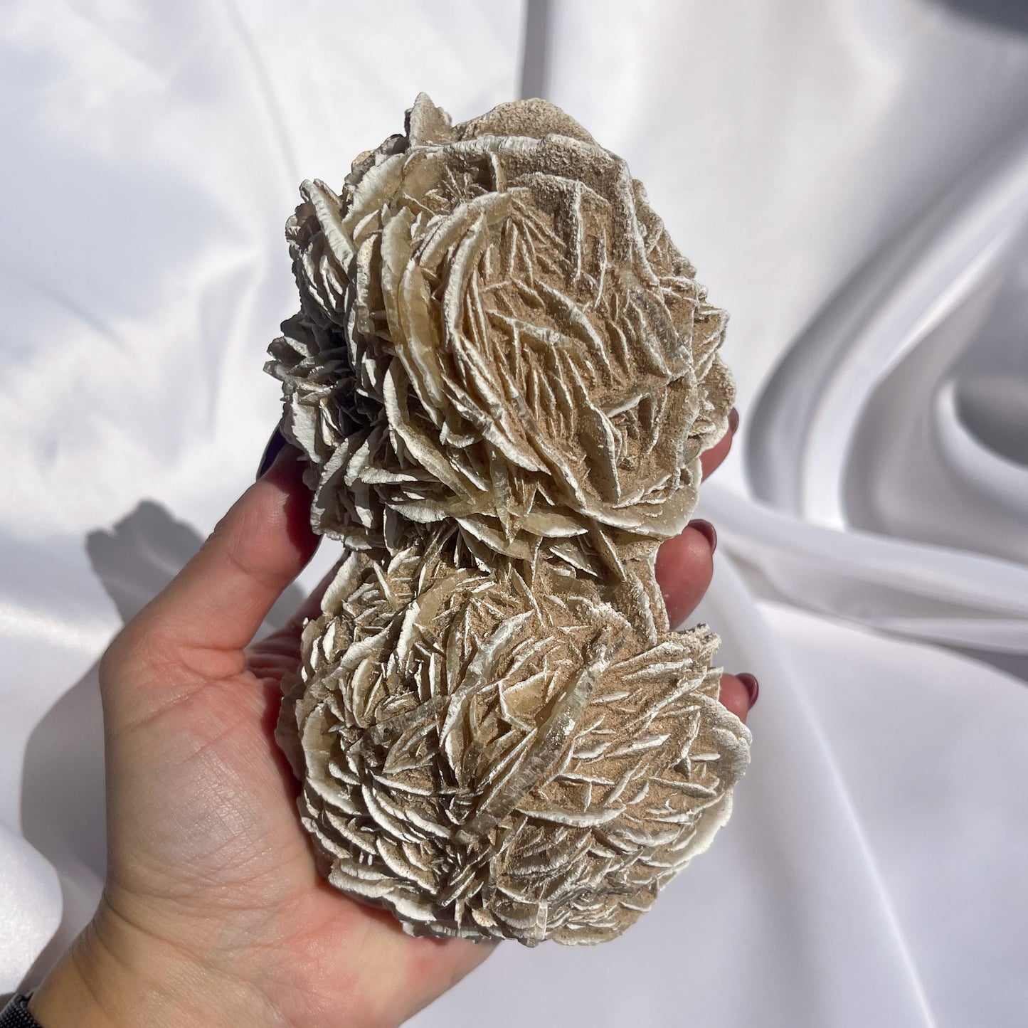 Desert Rose Cluster 01