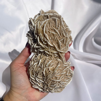 Desert Rose Cluster 01