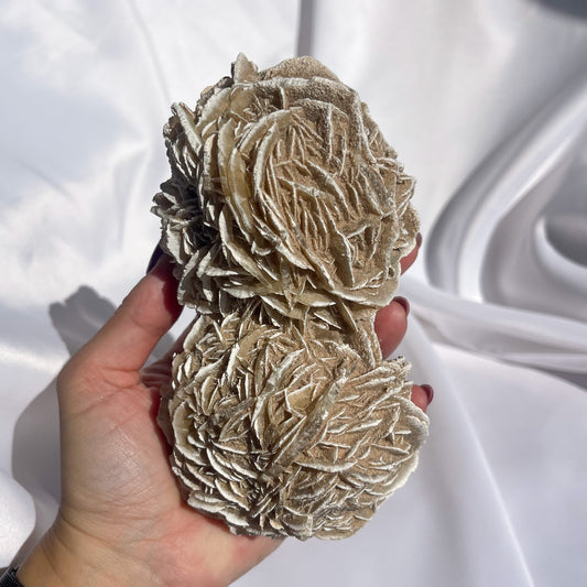 Desert Rose Cluster 01