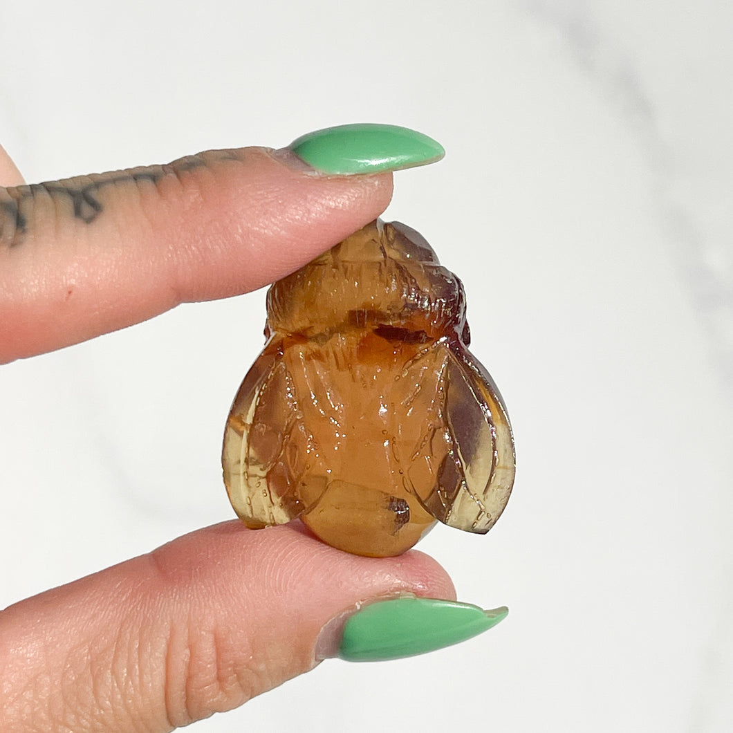 Amber Bee 03