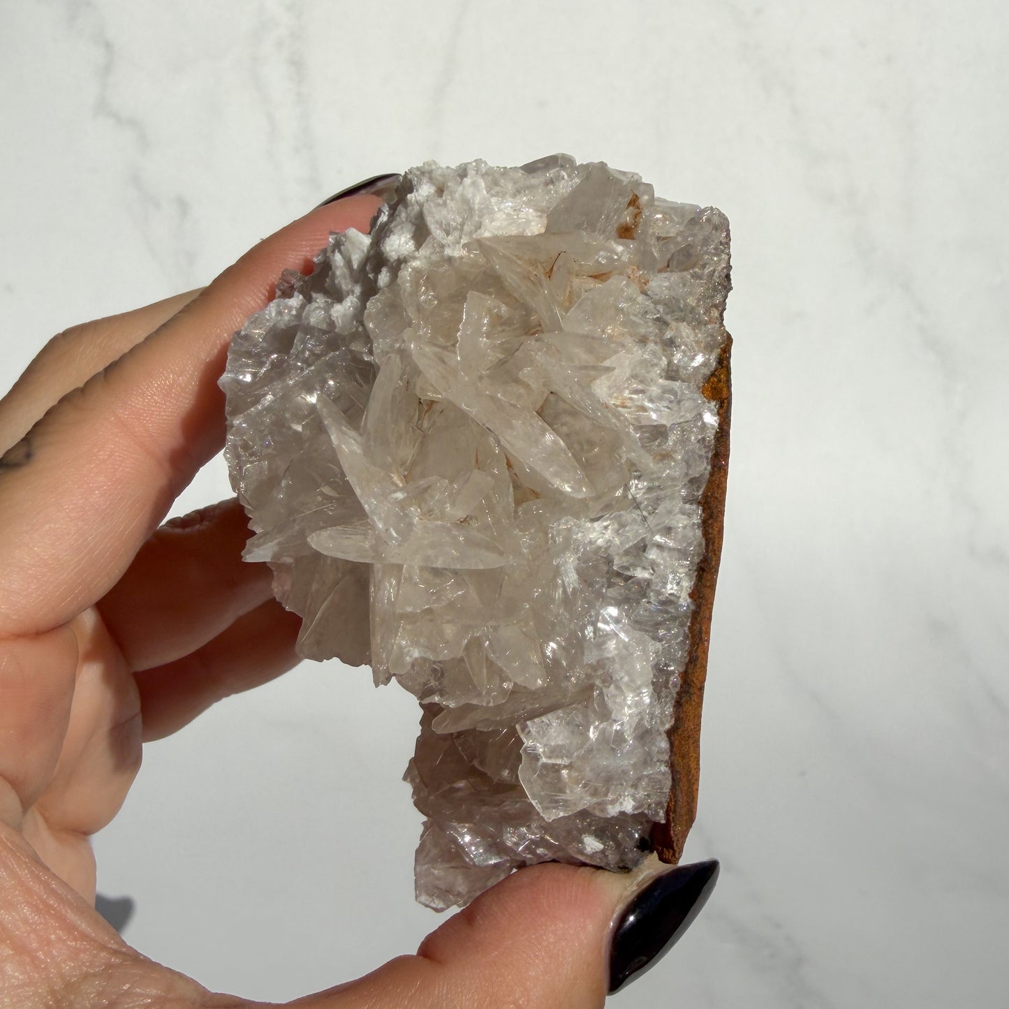 Angel Wing Calcite Cluster 04