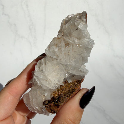 Angel Wing Calcite Cluster 01