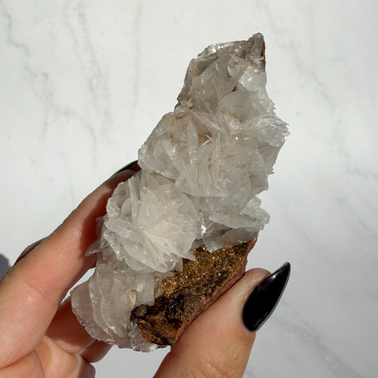 Angel Wing Calcite Cluster 01