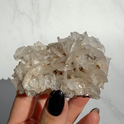 Angel Wing Calcite Cluster 02
