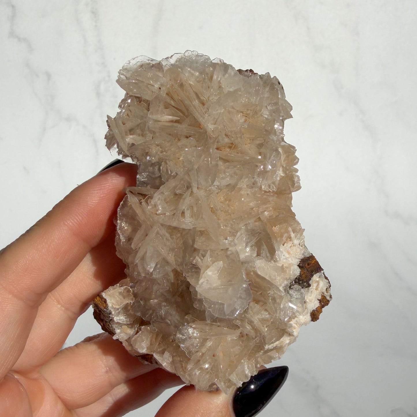 Angel Wing Calcite Cluster 03