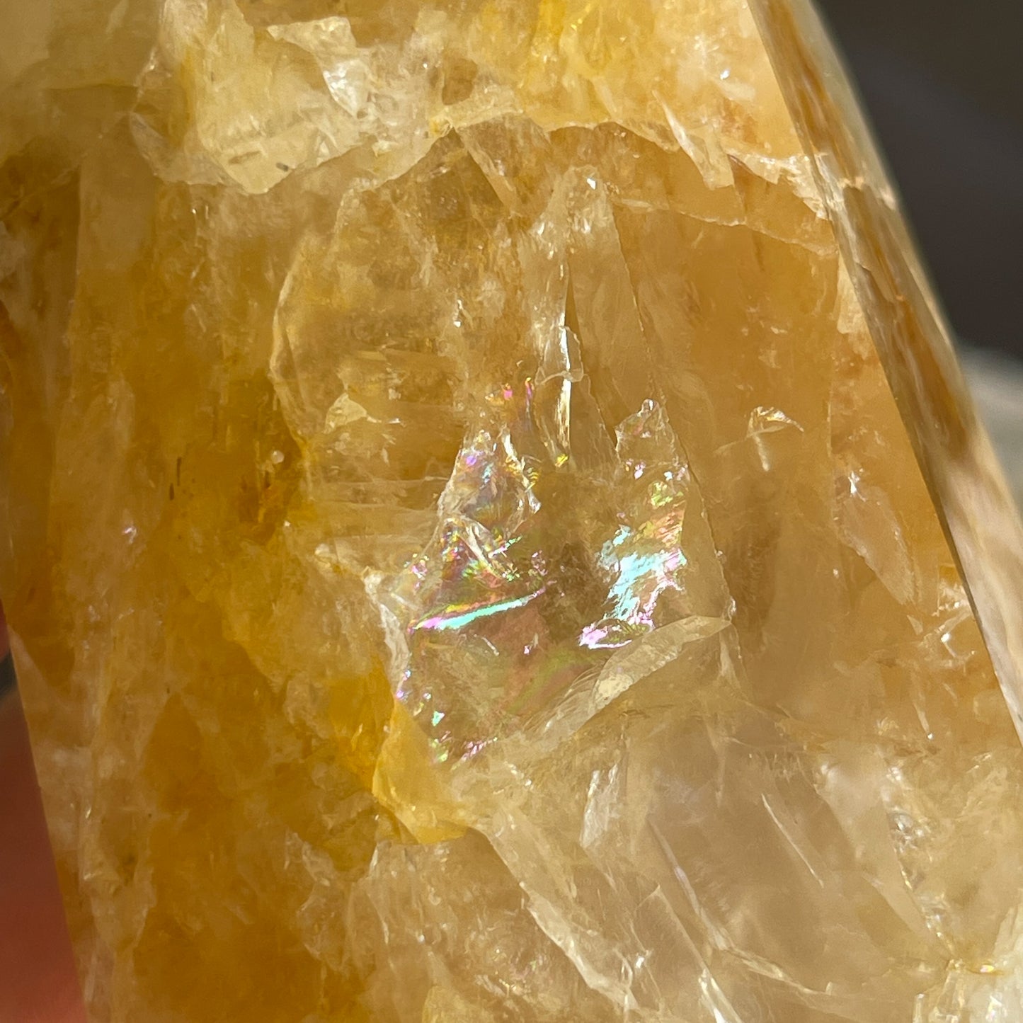Golden Healer 12