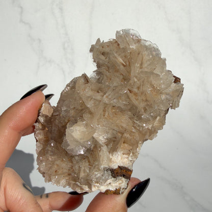 Angel Wing Calcite Cluster 03