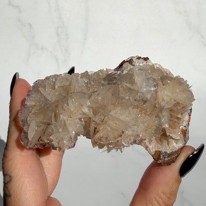 Angel Wing Calcite Cluster 03