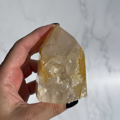 Golden Healer 09