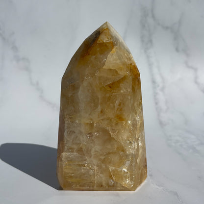 Golden Healer 12