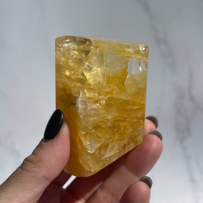 Golden Healer 06