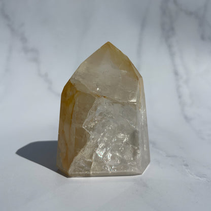 Golden Healer 09