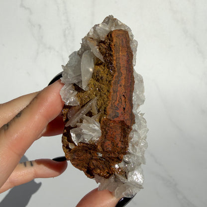 Angel Wing Calcite Cluster 01