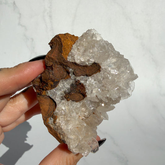 Angel Wing Calcite Cluster 04