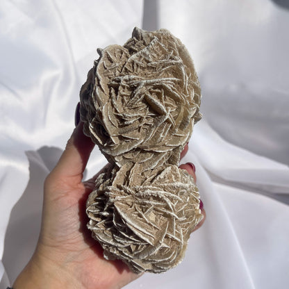 Desert Rose Cluster 01