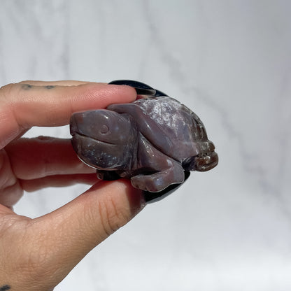Ocean Jasper Tortoise - Dark