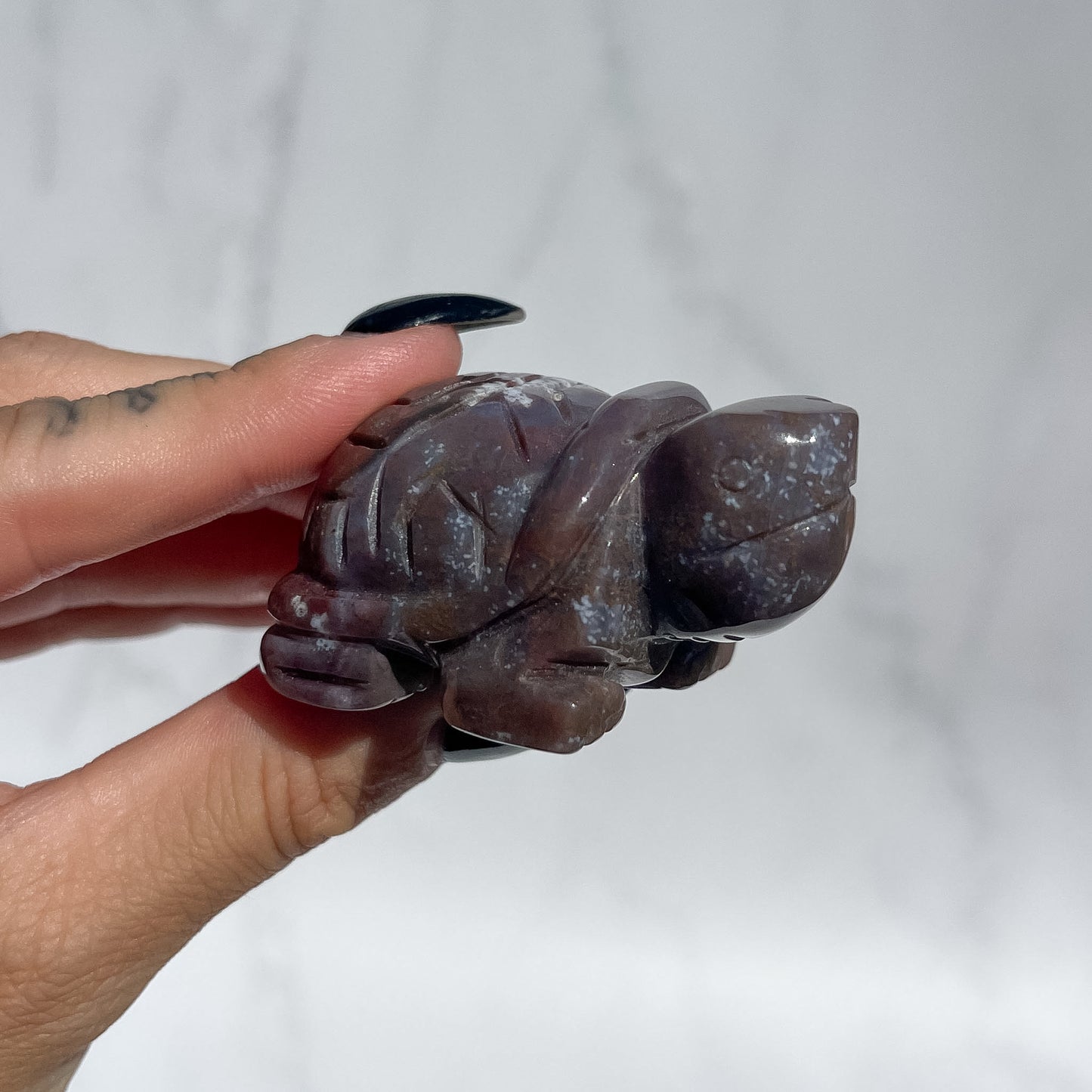 Ocean Jasper Tortoise - Dark