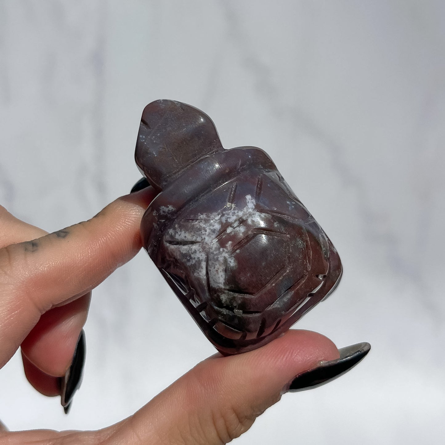 Ocean Jasper Tortoise - Dark