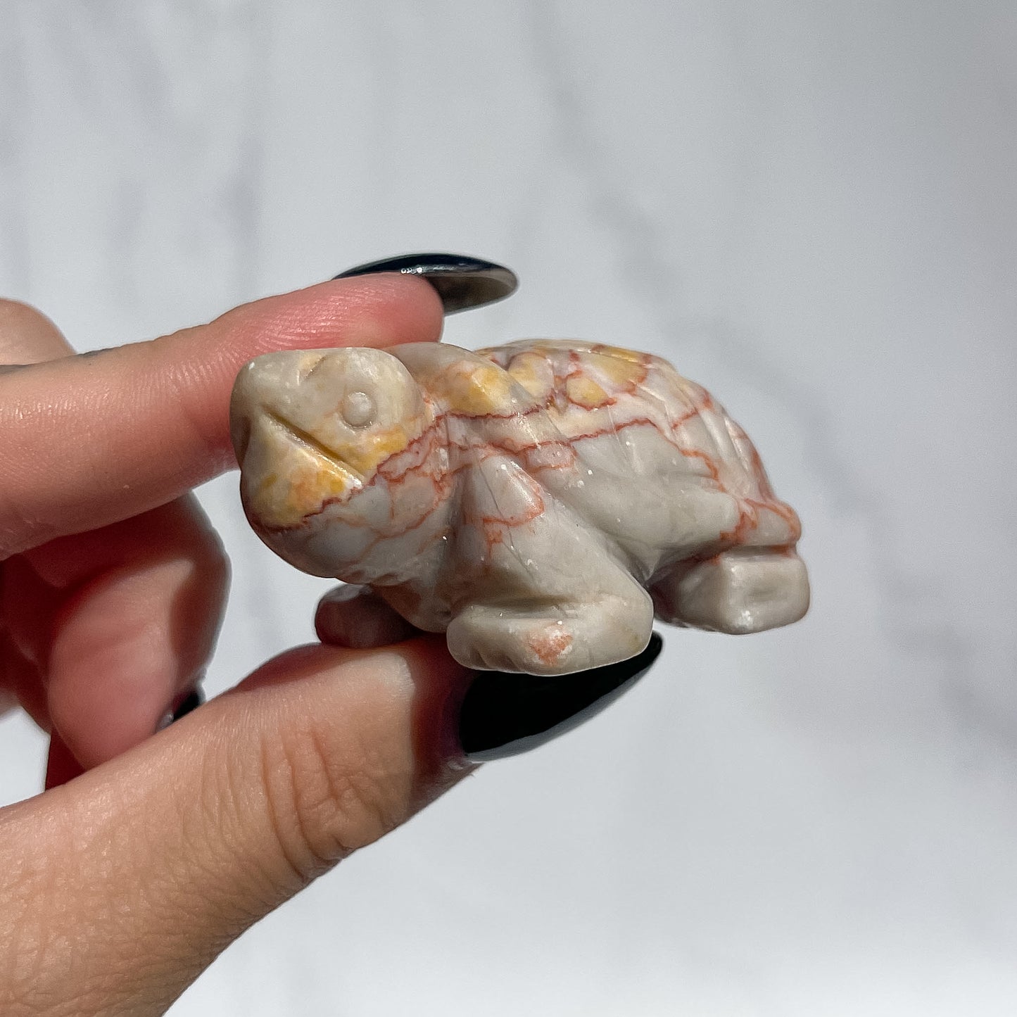Red Vein Jasper Tortoise