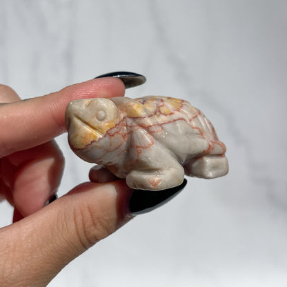Red Vein Jasper Tortoise