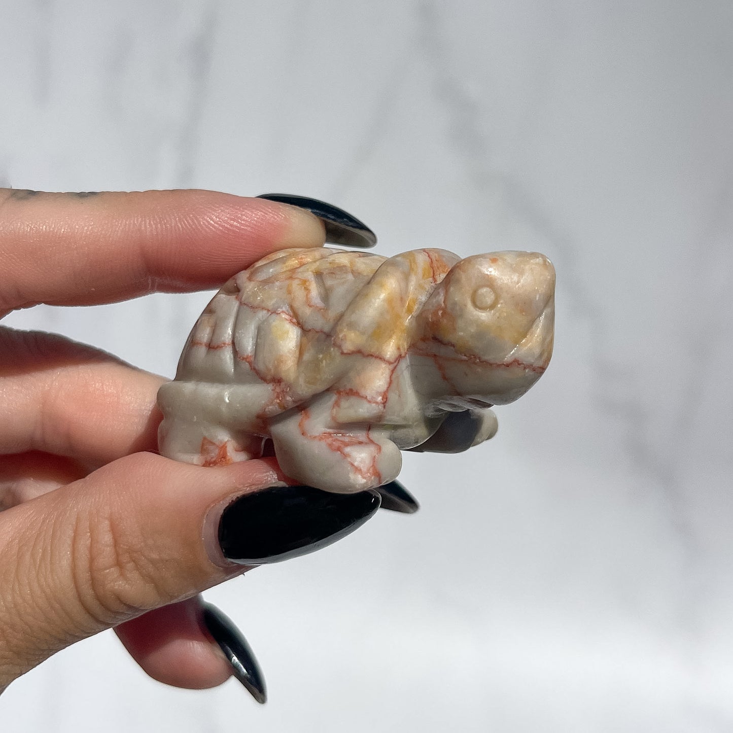 Red Vein Jasper Tortoise