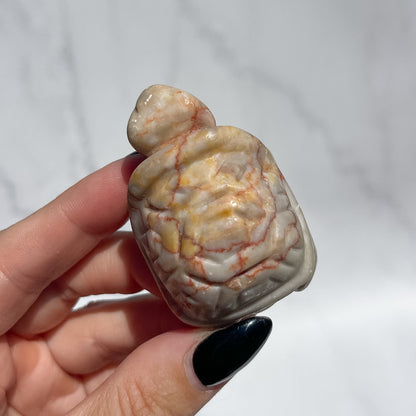 Red Vein Jasper Tortoise