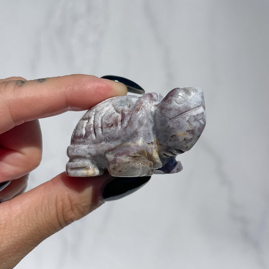 Ocean Jasper Tortoise - White