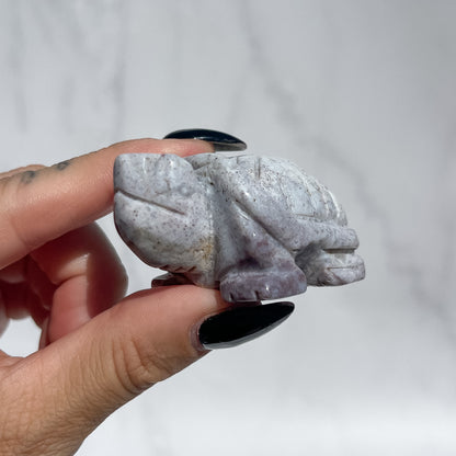 Ocean Jasper Tortoise - White