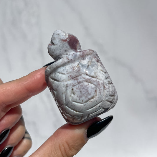 Ocean Jasper Tortoise - White