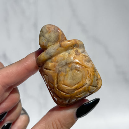 Crazy Lace Agate Tortoise