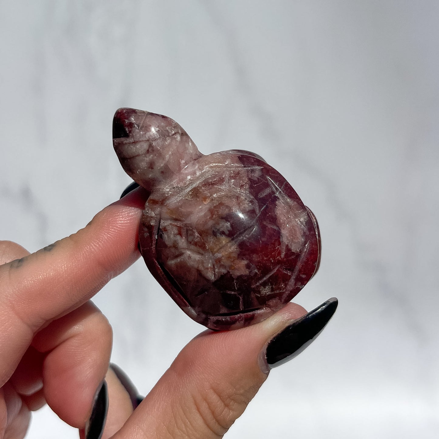 Red Wine Jasper Turtle