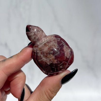 Red Wine Jasper Turtle