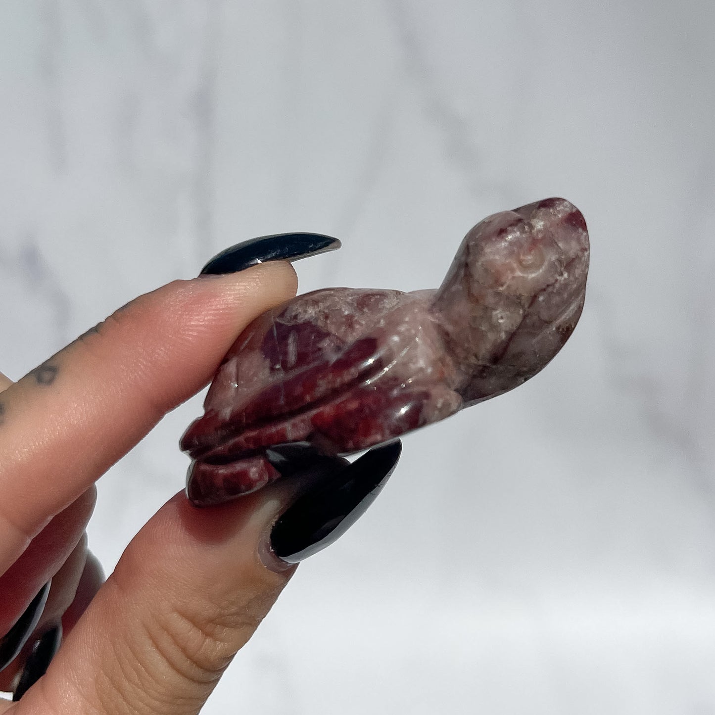 Red Wine Jasper Turtle
