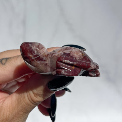 Red Wine Jasper Turtle