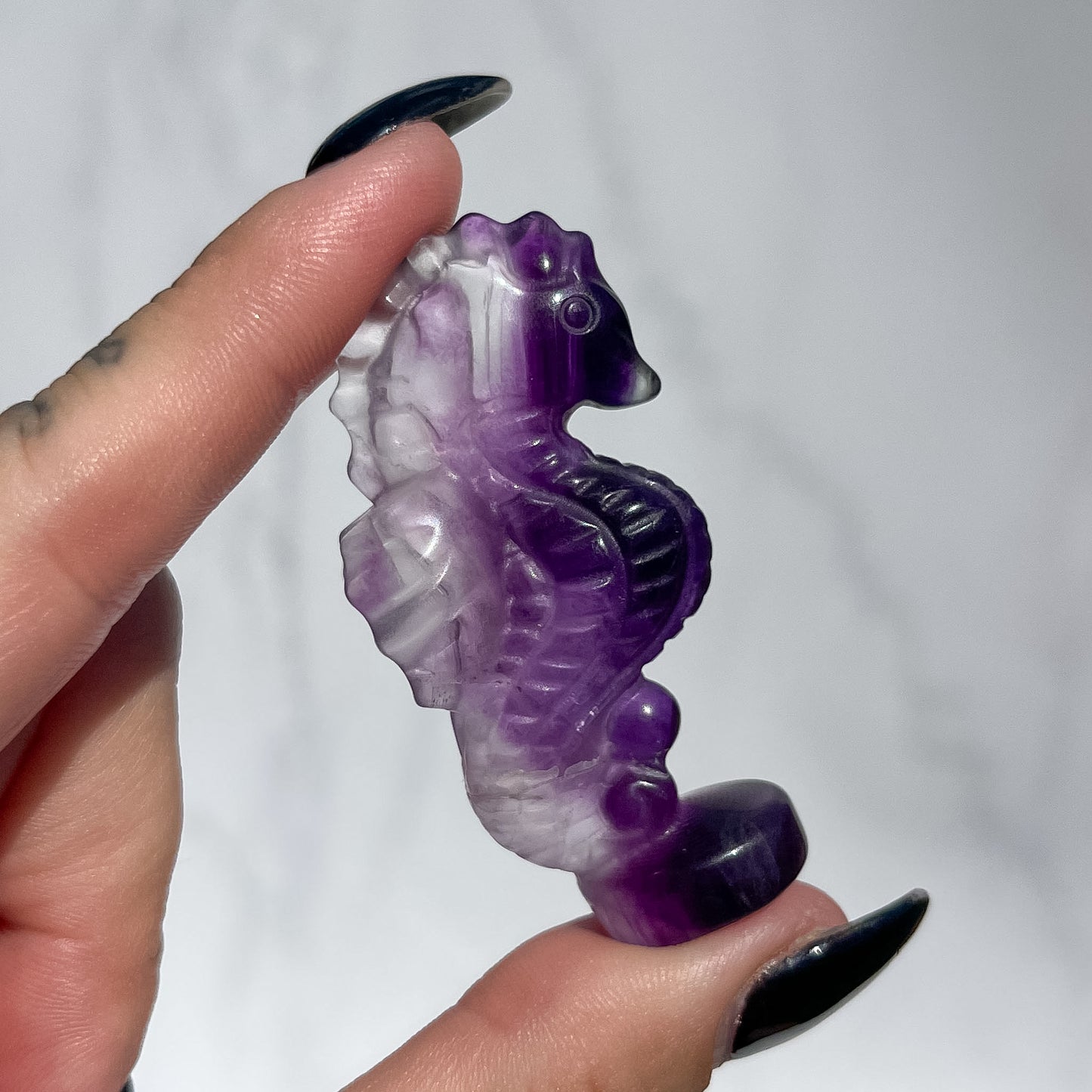 Fluorite Standing Seahorse 04