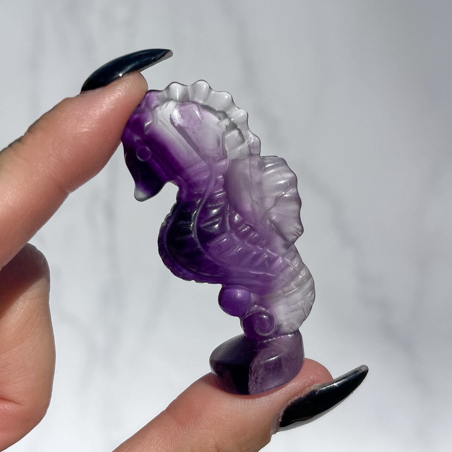 Fluorite Standing Seahorse 04