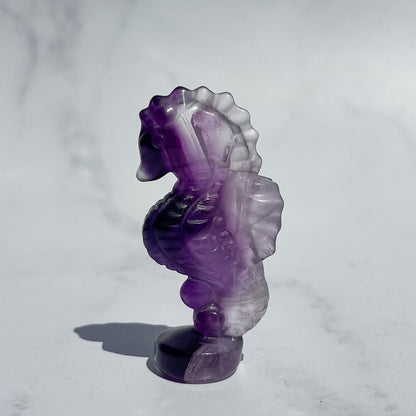 Fluorite Standing Seahorse 04