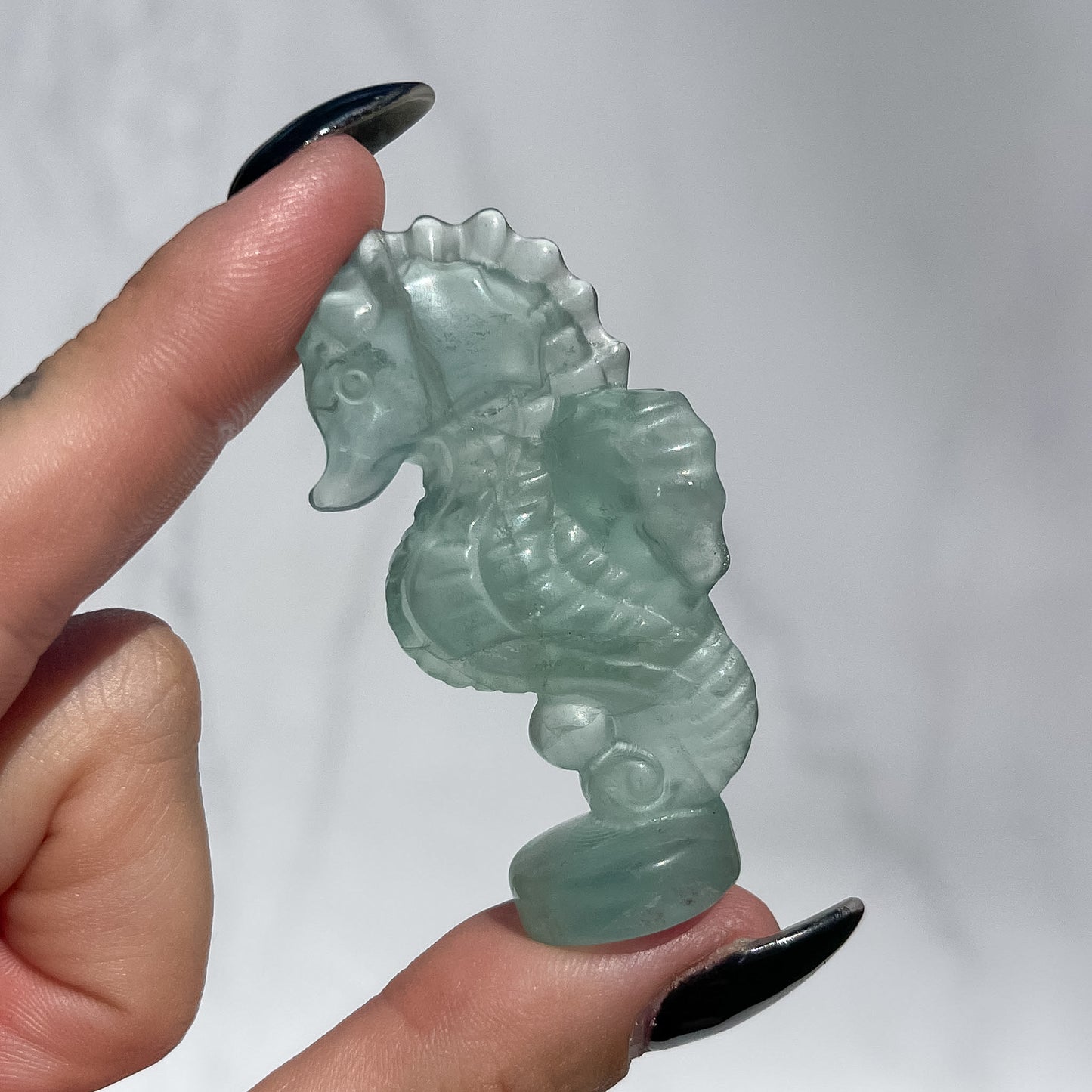 Fluorite Standing Seahorse 03