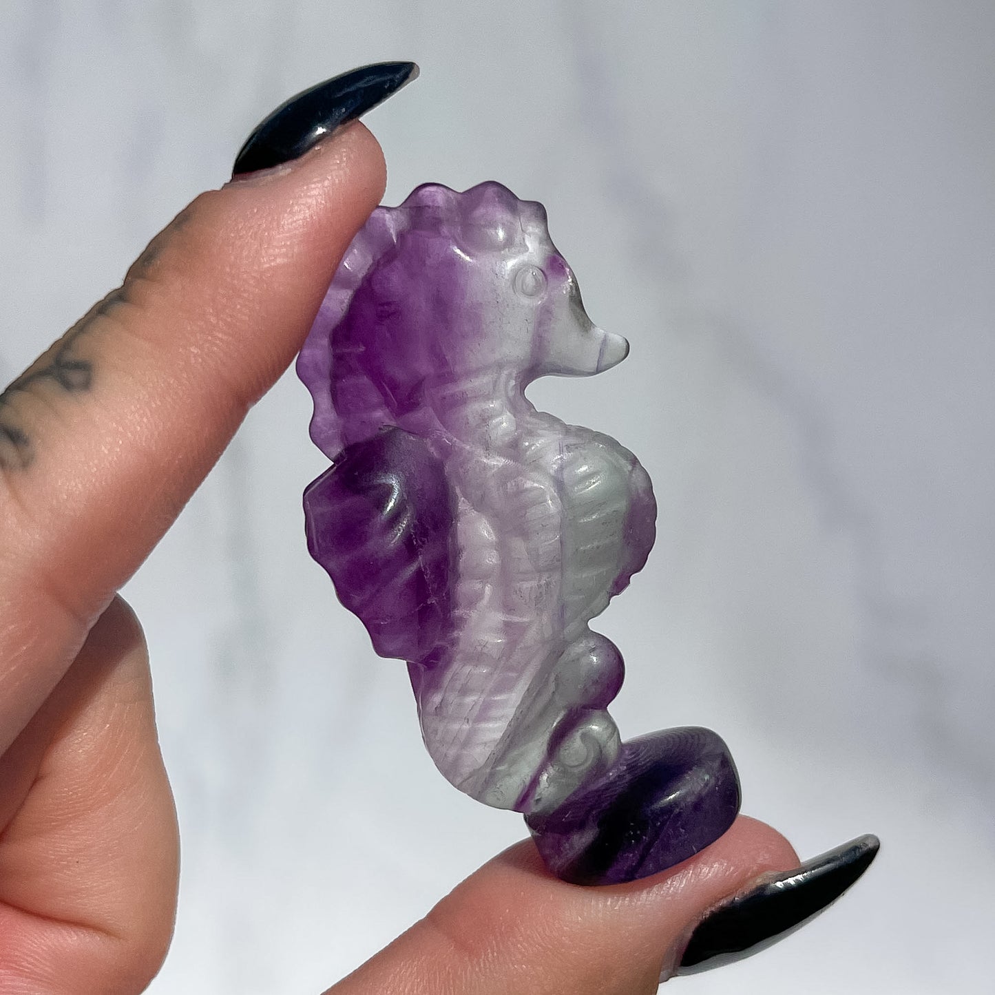 Fluorite Standing Seahorse 01
