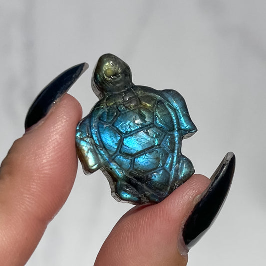 Labradorite Turtle 02