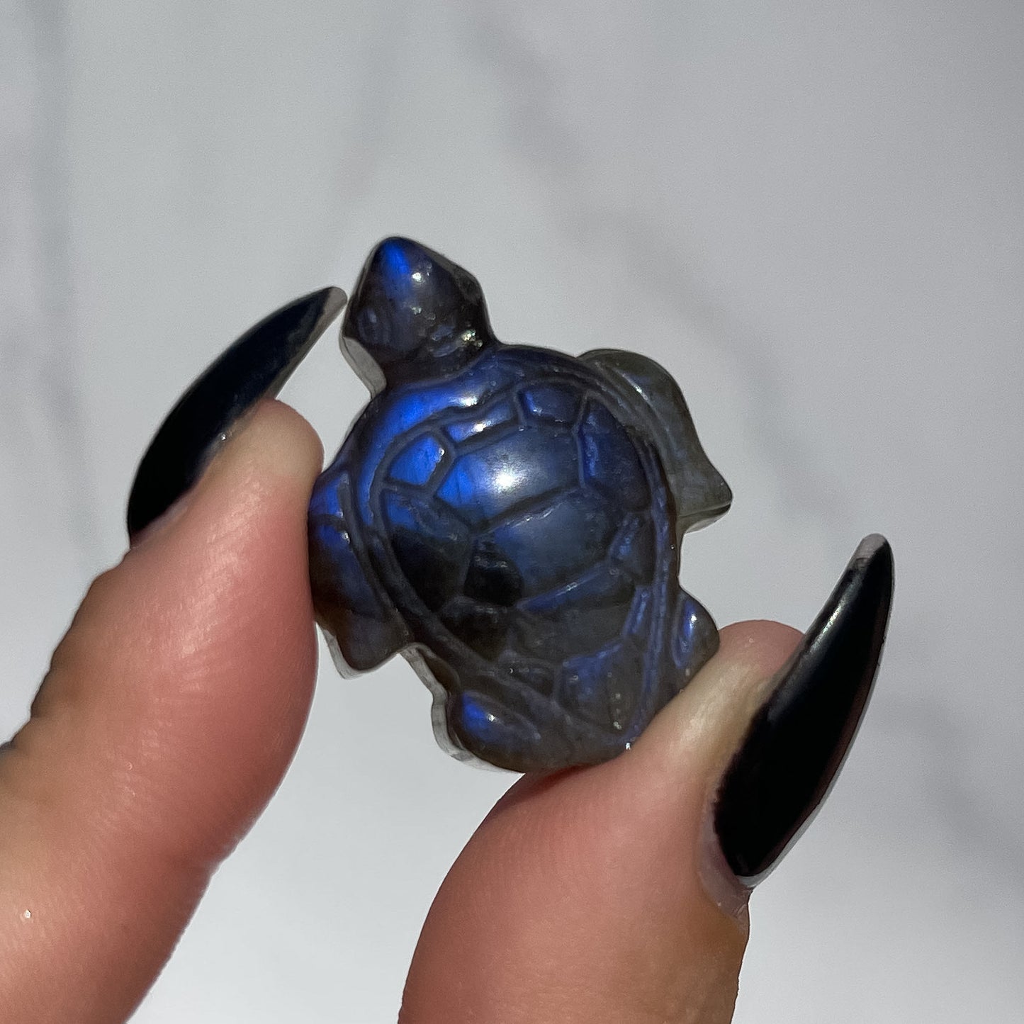 Labradorite Turtle 04