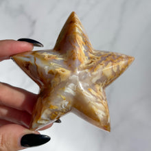Load image into Gallery viewer, Agate Starfish 05
