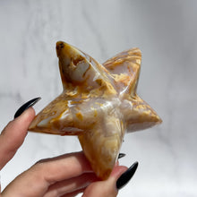 Load image into Gallery viewer, Agate Starfish 05
