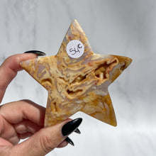 Load image into Gallery viewer, Agate Starfish 05
