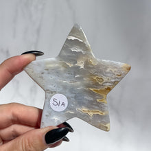 Load image into Gallery viewer, Agate Starfish 01
