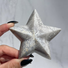 Load image into Gallery viewer, Agate Starfish 02
