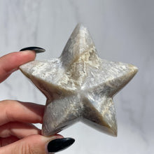 Load image into Gallery viewer, Agate Starfish 04

