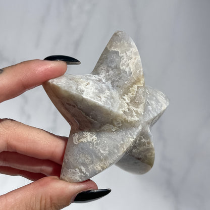 Agate Starfish 04