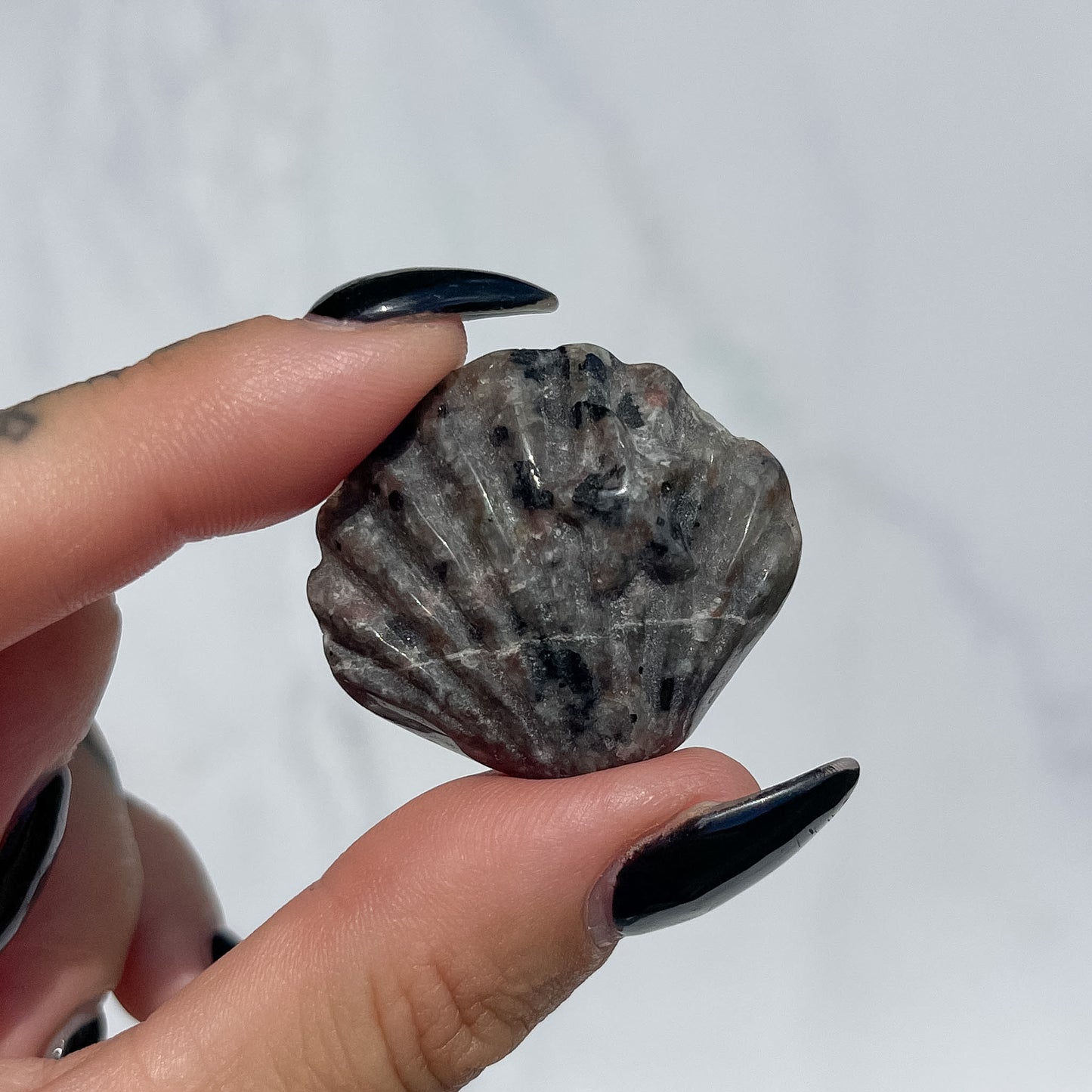 Mixed Seashells with Starfish - Pick your own
